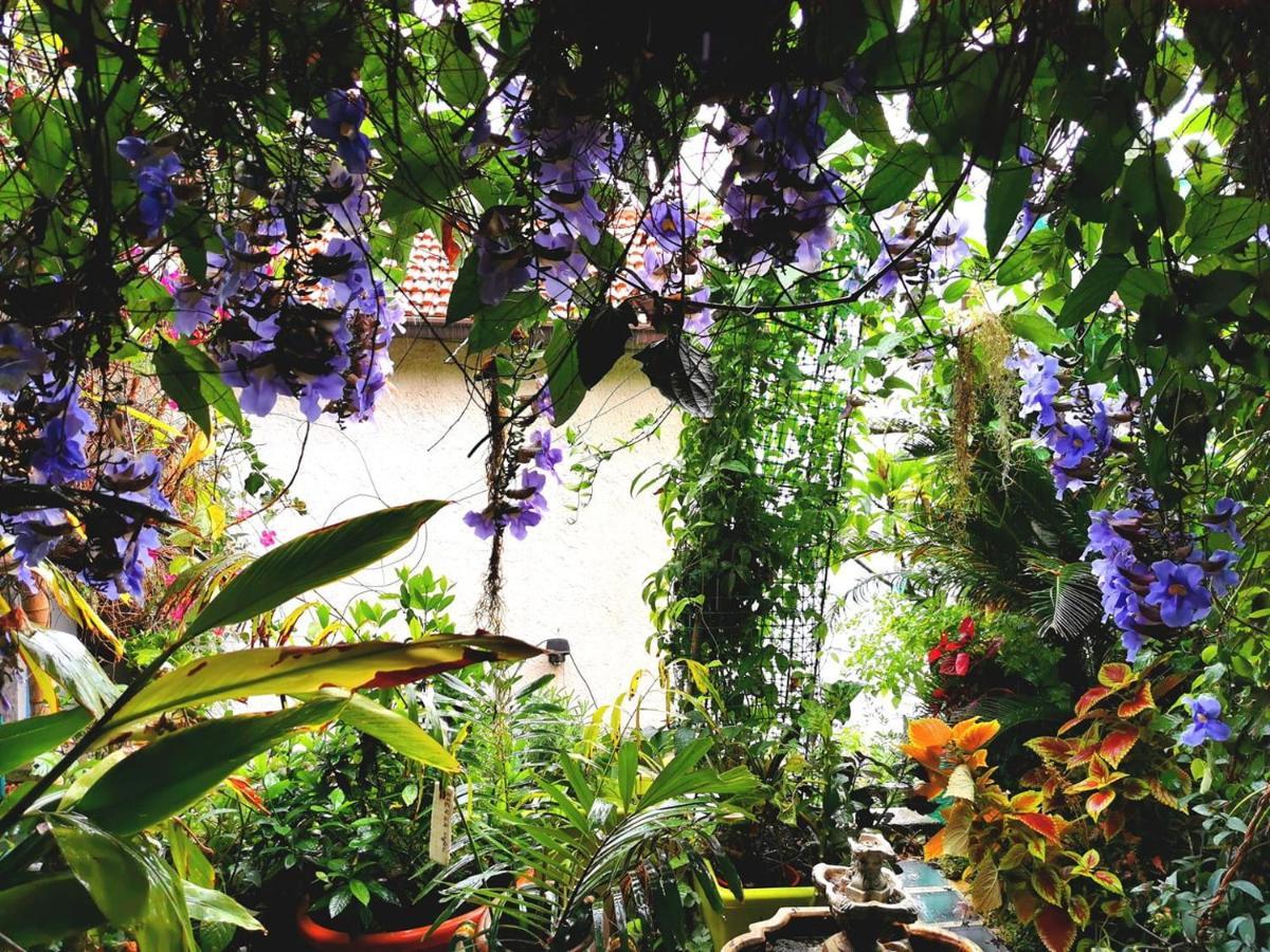Romantic Casa Lorenzina Affittacamere เวนติมิญา ภายนอก รูปภาพ