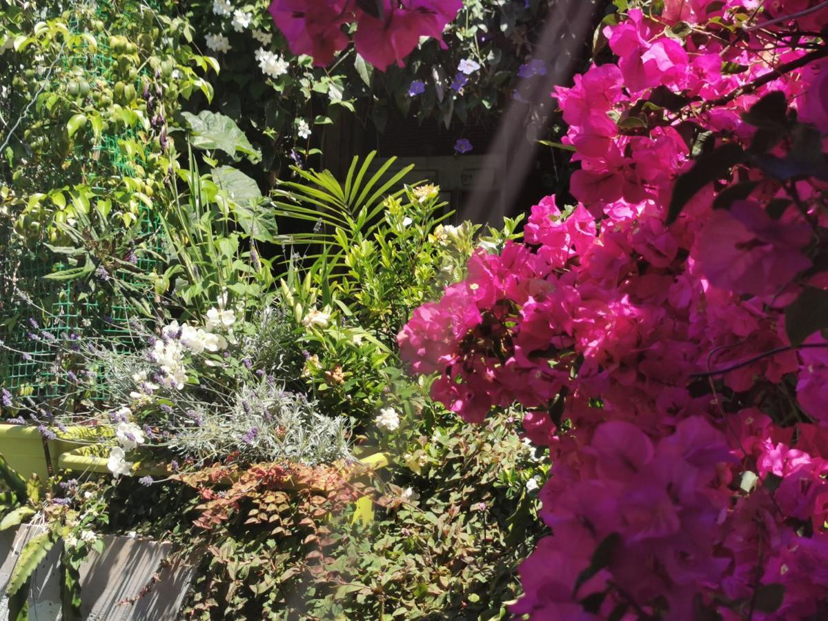 Romantic Casa Lorenzina Affittacamere เวนติมิญา ภายนอก รูปภาพ