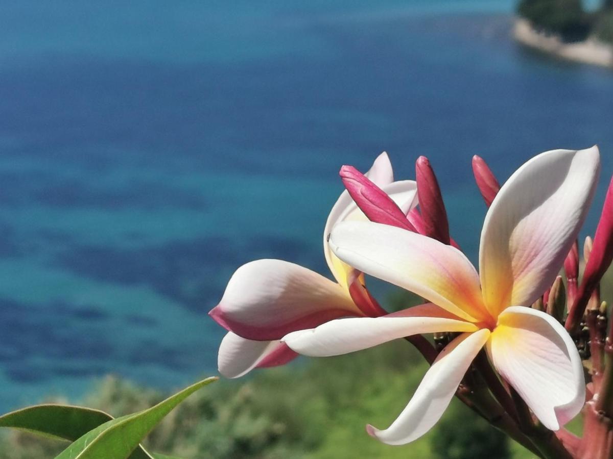 Romantic Casa Lorenzina Affittacamere เวนติมิญา ภายนอก รูปภาพ