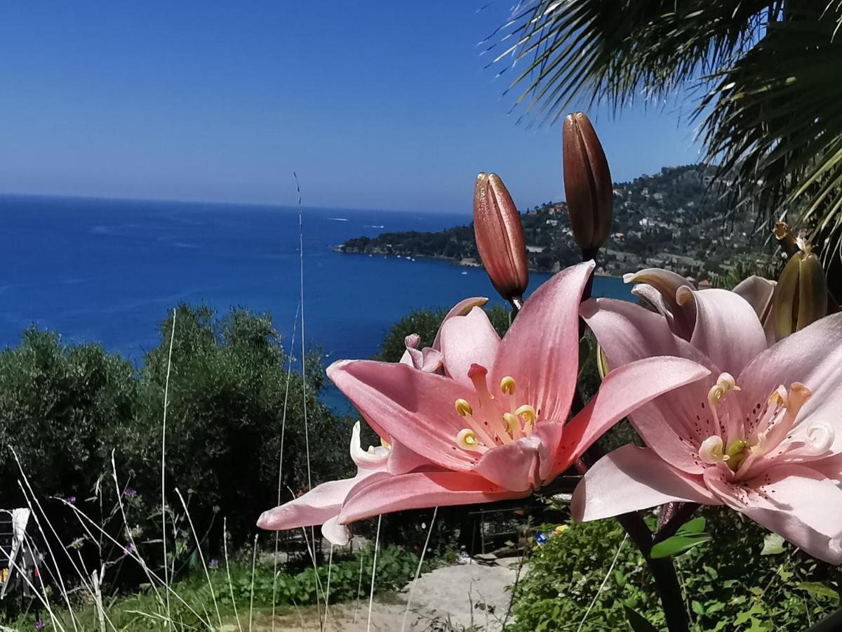 Romantic Casa Lorenzina Affittacamere เวนติมิญา ภายนอก รูปภาพ