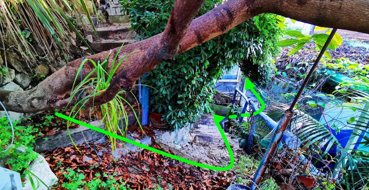Romantic Casa Lorenzina Affittacamere เวนติมิญา ภายนอก รูปภาพ
