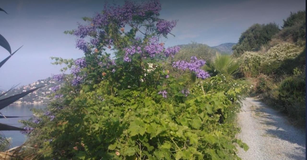 Romantic Casa Lorenzina Affittacamere เวนติมิญา ภายนอก รูปภาพ