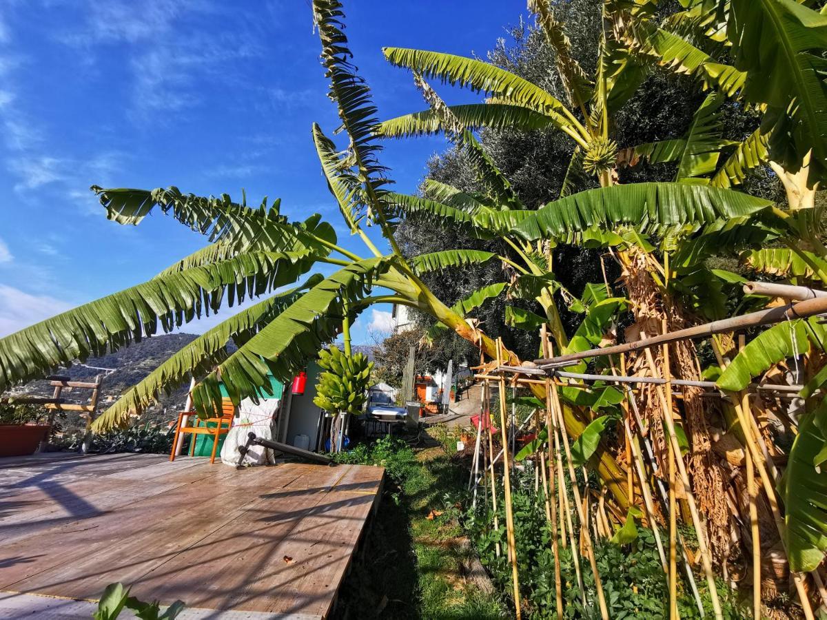 Romantic Casa Lorenzina Affittacamere เวนติมิญา ภายนอก รูปภาพ